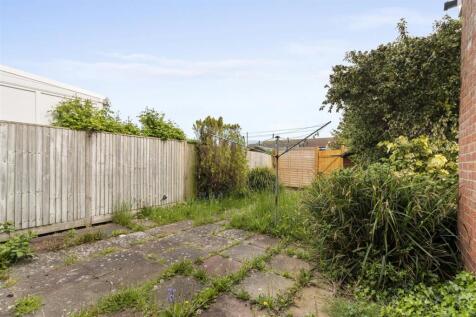 garden #2.jpg