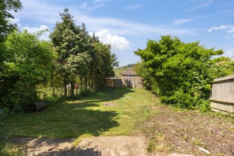 garden #5.jpg