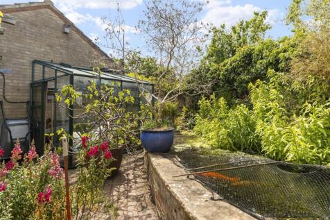 garden #4.jpg