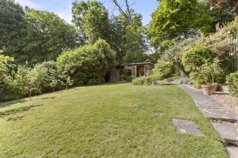 garden #3.jpg