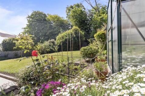 garden #4.jpg
