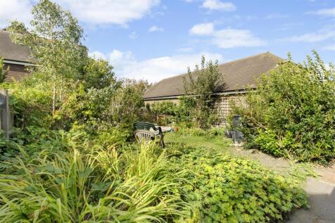 garden #3.jpg