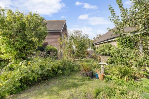 garden #4.jpg