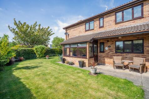 Property Image 11