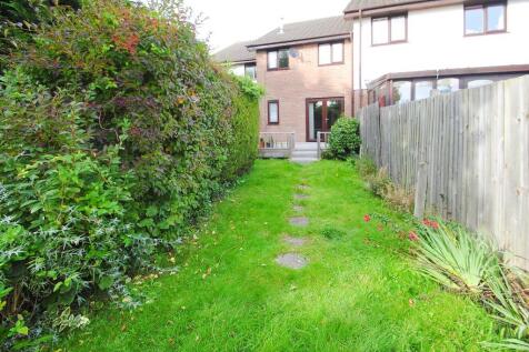 Back garden
