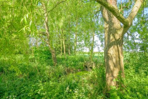 Property Image 68