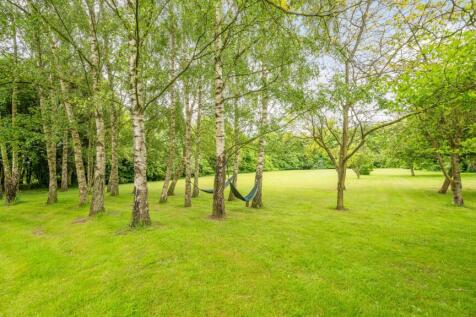 Property Image 62