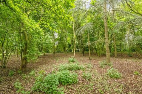 Property Image 66