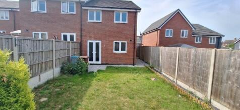Back Garden