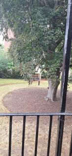 Communal Garden 
