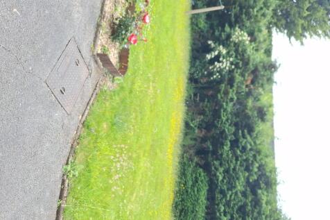 Communal Garden