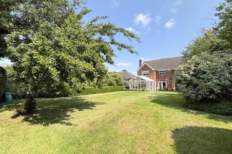 Property Image 34