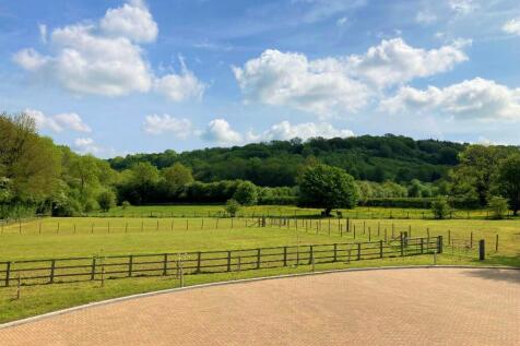 Dog walking fields