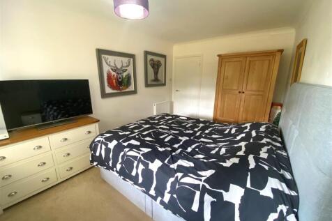 8 gorse new 1.jpg