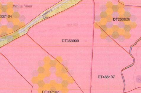 Dt358909.JPG