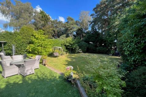 garden 1.jpg