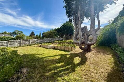 66 pr 18 back garden with tree.jpg