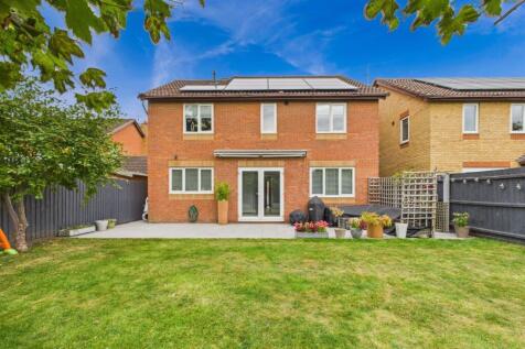 Property Image 26