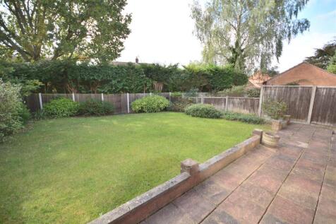 Garden.JPG