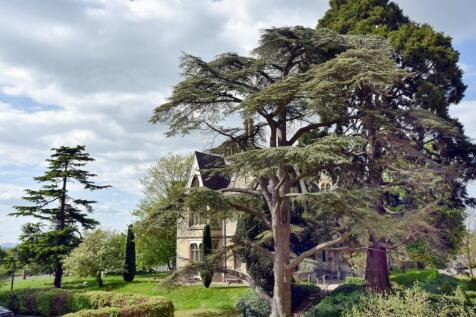 Manor through trees.png