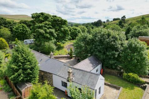 Property Image 41