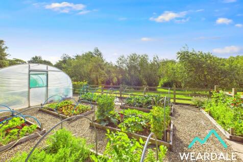 Property Image 59