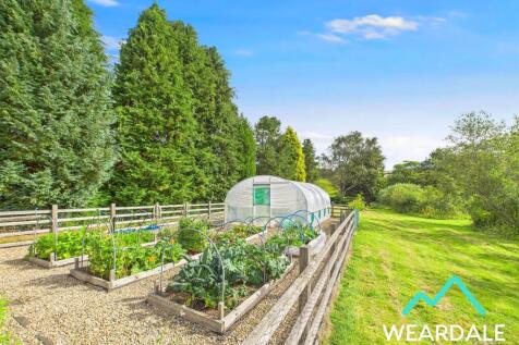 Property Image 60