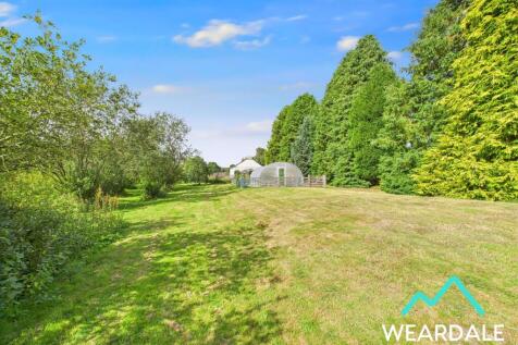 Property Image 63