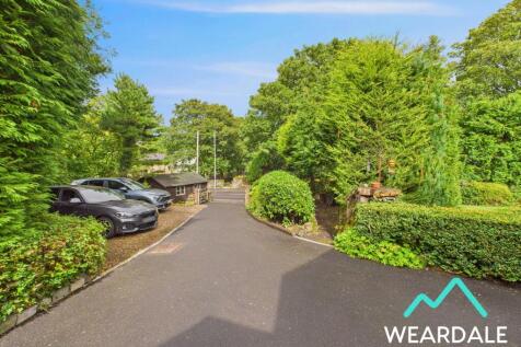 Property Image 63