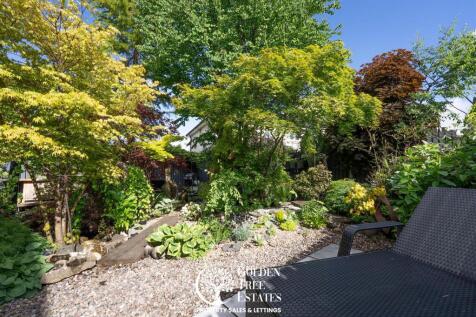 Images Above-09766.jpg