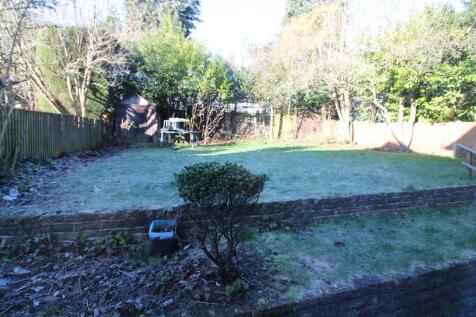 Back Garden