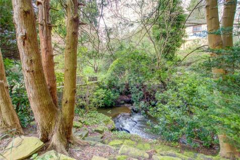 Stream