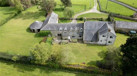 Aerial Rear