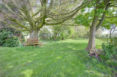 Meadow Garden