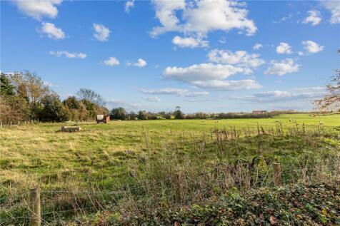 View Over Field