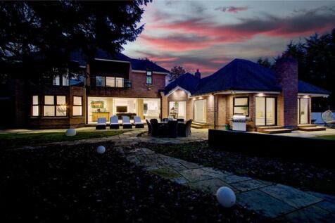Rear Twilight