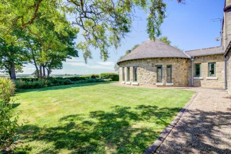 Rear Garden (2)