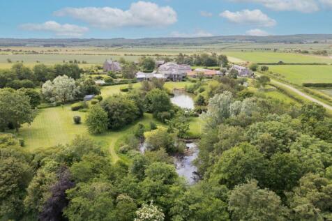 Aerial Shot