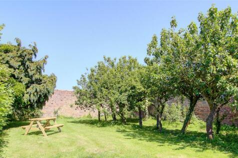Orchard