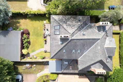 Birds Eye View