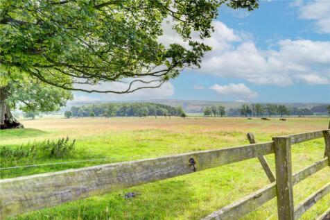 View Over Fields