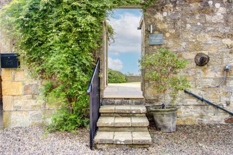 Looking Into Garden