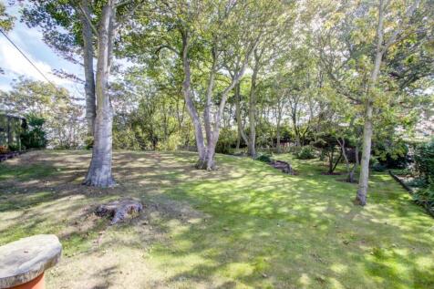 Rear Garden 3