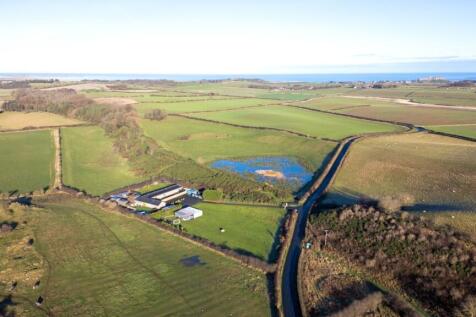 Aerial View 2