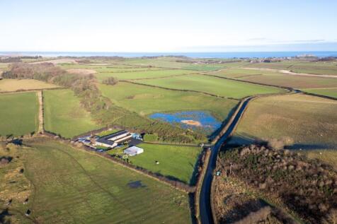 Aerial View 2