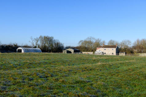 Paddock
