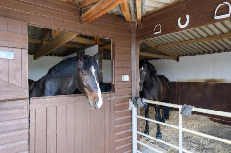 Stables