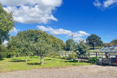 orchard