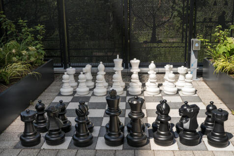 Anyone for chess?