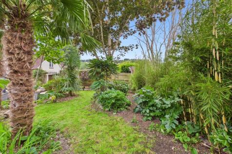 Rear garden(1)